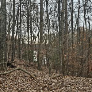 Lot 143 Oak Crest