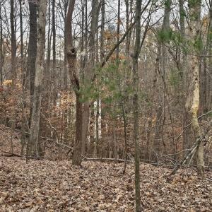 Lot 143 Oak Crest Dr 6