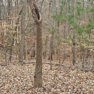 Lot 143 Oak Crest Dr. 5