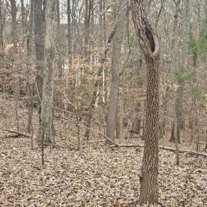 Lot 143 Oak Crest Dr 5