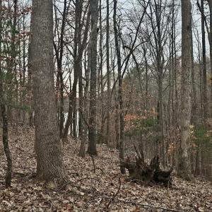 Lot 143 Oak Crest Dr. 4