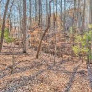 Lot 143 Oak Crest groundp4