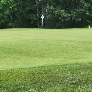 View of #16 Green