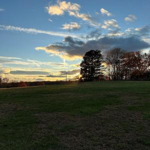calming evening