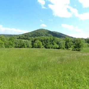 Photo #11 of BEN VENUE RD, FLINT HILL, VA 13.2 acres