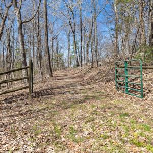 02-0 Mountainside Trail NE_01