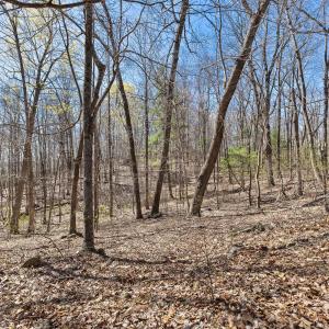 03-0 Mountainside Trail NE_02