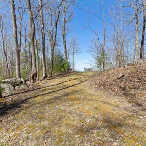 04-0 Mountainside Trail NE_03