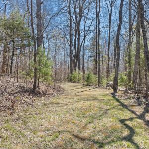 05-0 Mountainside Trail NE_05