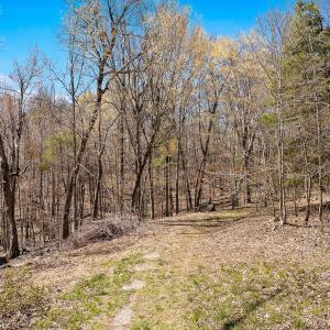 06-0 Mountainside Trail NE_06