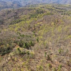 11-0 Mountainside Trail NE_11