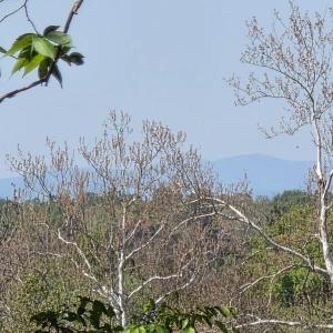 Photo #5 of LEIGH RD, WARRENTON, VA 1.4 acres