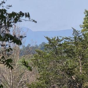 Photo #6 of LEIGH RD, WARRENTON, VA 1.4 acres