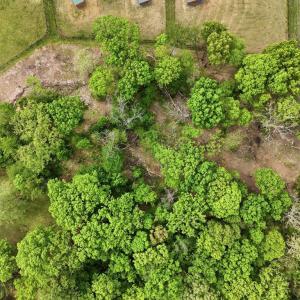 Photo #8 of LEIGH RD, WARRENTON, VA 1.4 acres