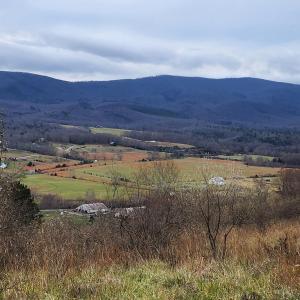 Lot view