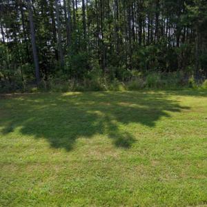 Front of Property (partial)