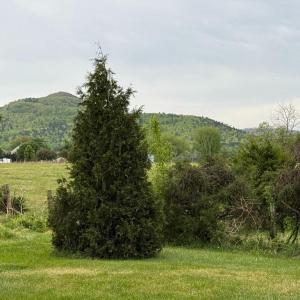 Photo #3 of LEOLA LOOP, STANLEY, VA 1.0 acres