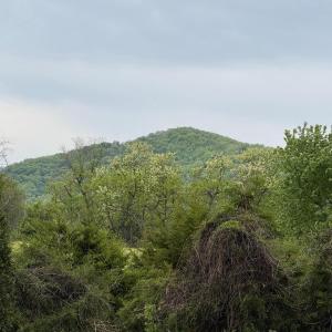 Photo #1 of LEOLA LOOP, STANLEY, VA 1.0 acres