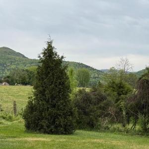 Photo #4 of LEOLA LOOP, STANLEY, VA 1.0 acres