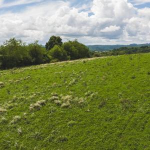 DJI_20240807144448_0350_D