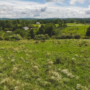 DJI_20240807145137_0366_D