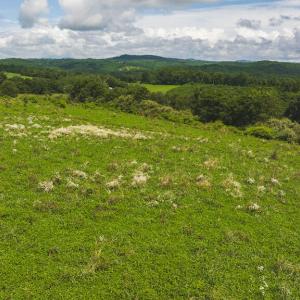 DJI_20240807145142_0367_D