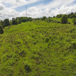DJI_20240807145223_0368_D