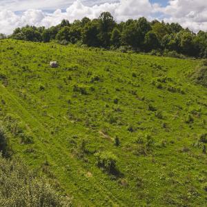 DJI_20240807145239_0369_D