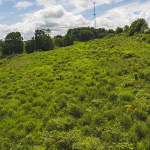 DJI_20240807145305_0371_D