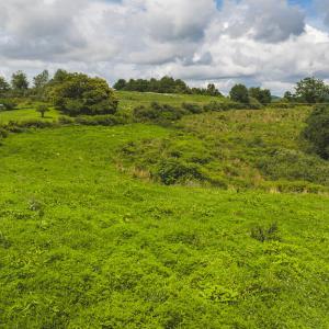 DJI_20240807145525_0378_D