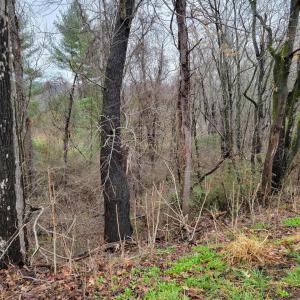 Build near Boones Mill