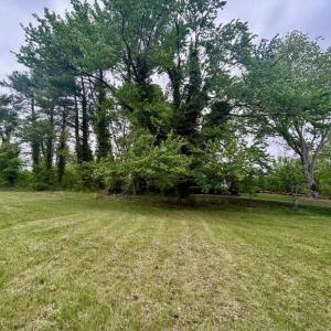 Photo #8 of MAIN ST, ORANGE, VA 0.7 acres