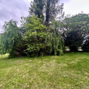 Photo #9 of MAIN ST, ORANGE, VA 0.7 acres