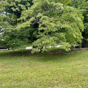 Photo #3 of MAIN ST, ORANGE, VA 0.7 acres