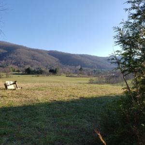 view out back of property