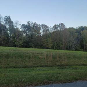 Lot 1 Altice Mill Rd