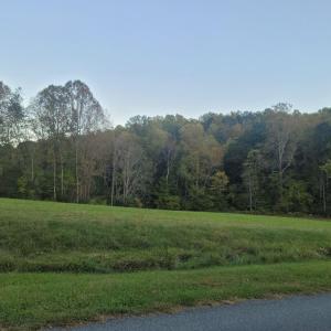 Lot 2 Altice Mill Rd