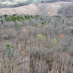 Wooded Acreage