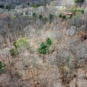 Wooded Acreage