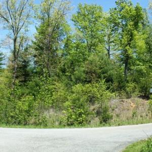 Tract 5 Laurel Run