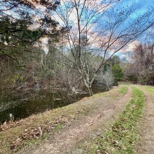 154.56 Bedford pics - 101