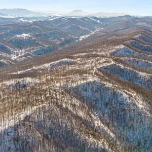 7-web-or-mls-DJI_0823