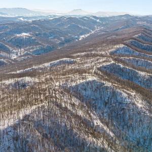 8-web-or-mls-DJI_0824