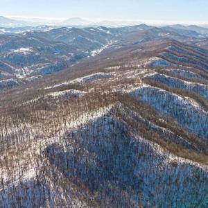 11-web-or-mls-DJI_0827