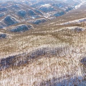 12-web-or-mls-DJI_0830