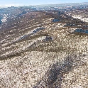 13-web-or-mls-DJI_0831