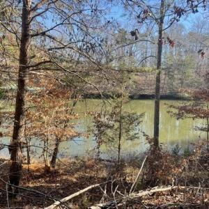 View from Lot to Lake