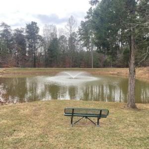 Community Pond