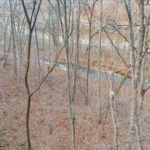 15-DJI_20241220141202_0052_D
