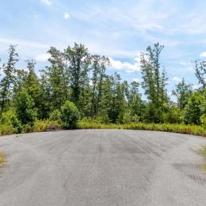Photo #4 of LOT 13B WHARTONS PASS, UNIONVILLE, VA 3.8 acres